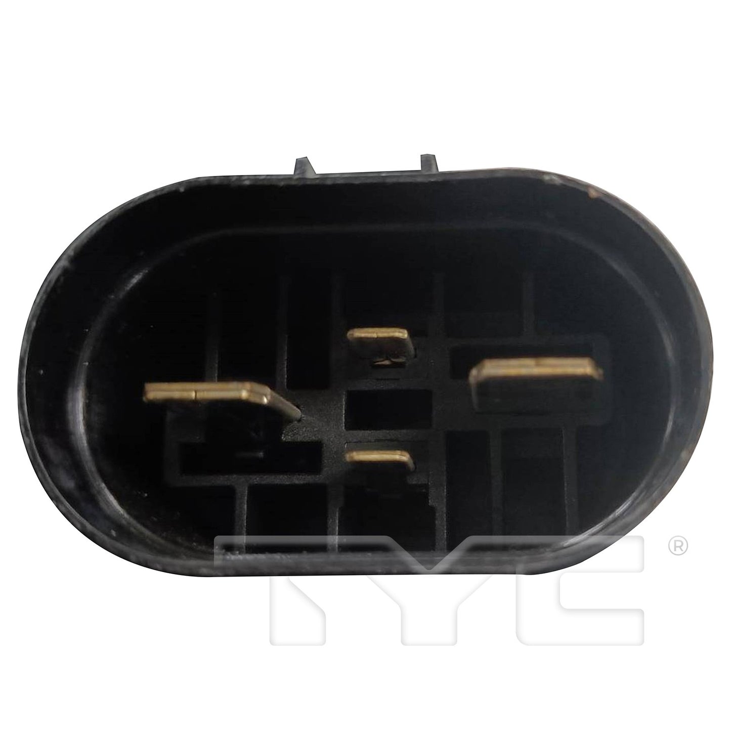 TYC 625630 image 2