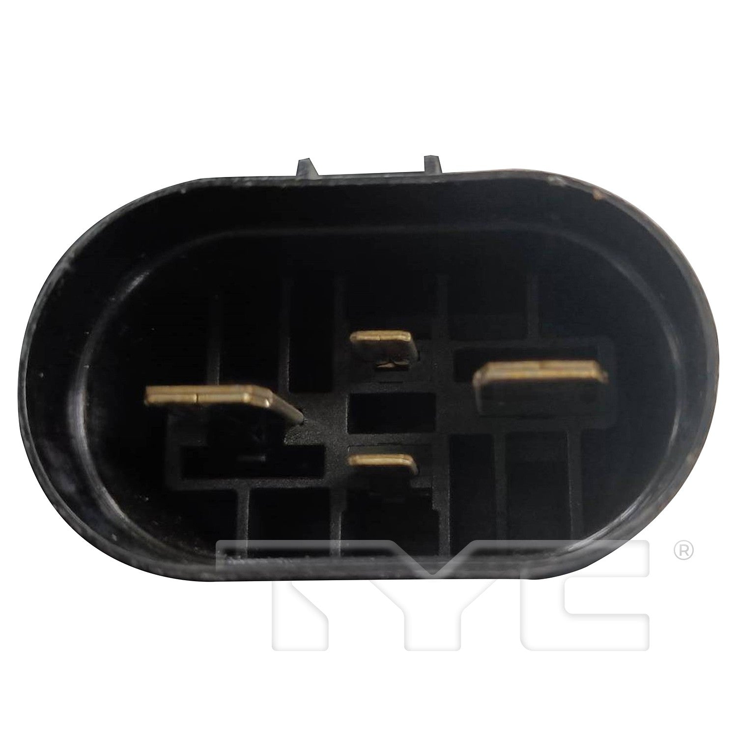 TYC 625630 image 2