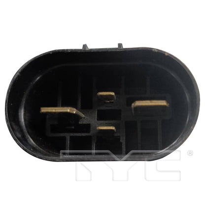 TYC 625630 image 2