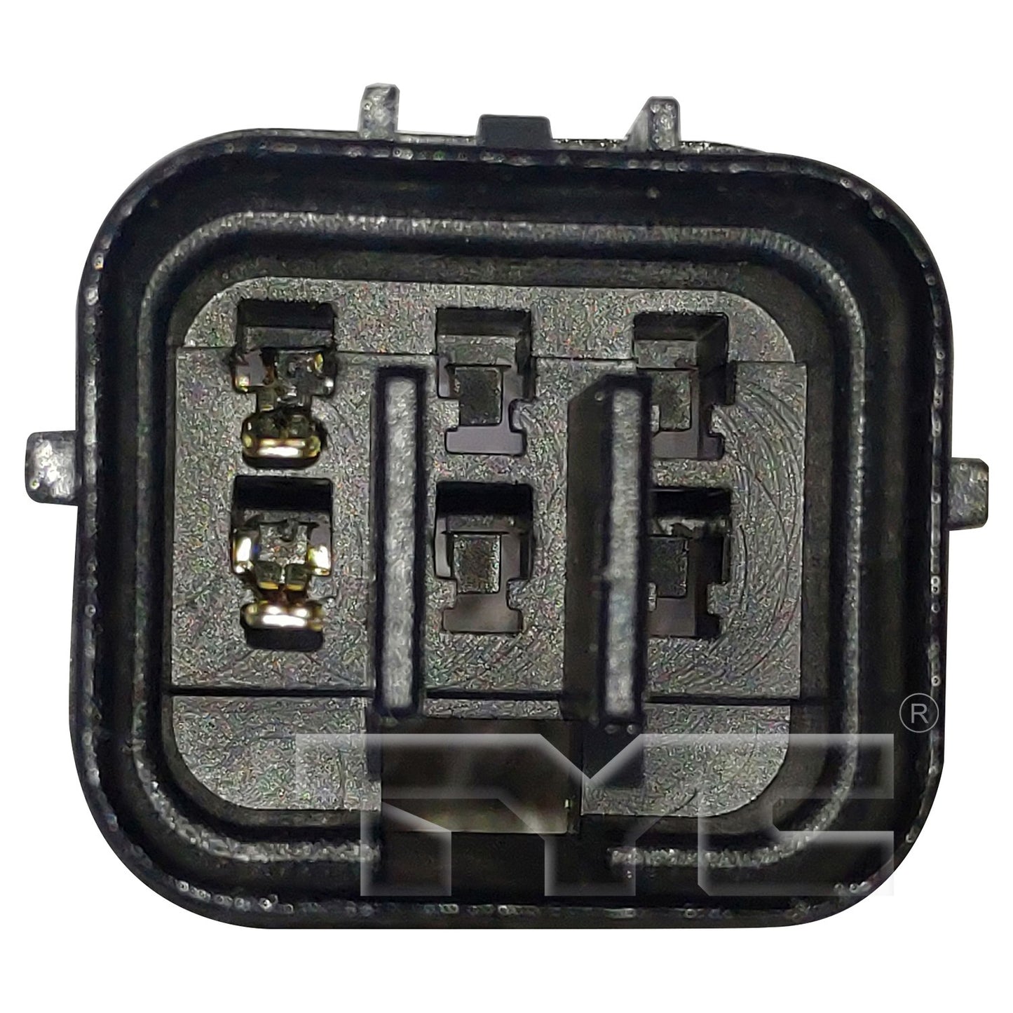 TYC 660687 image 2