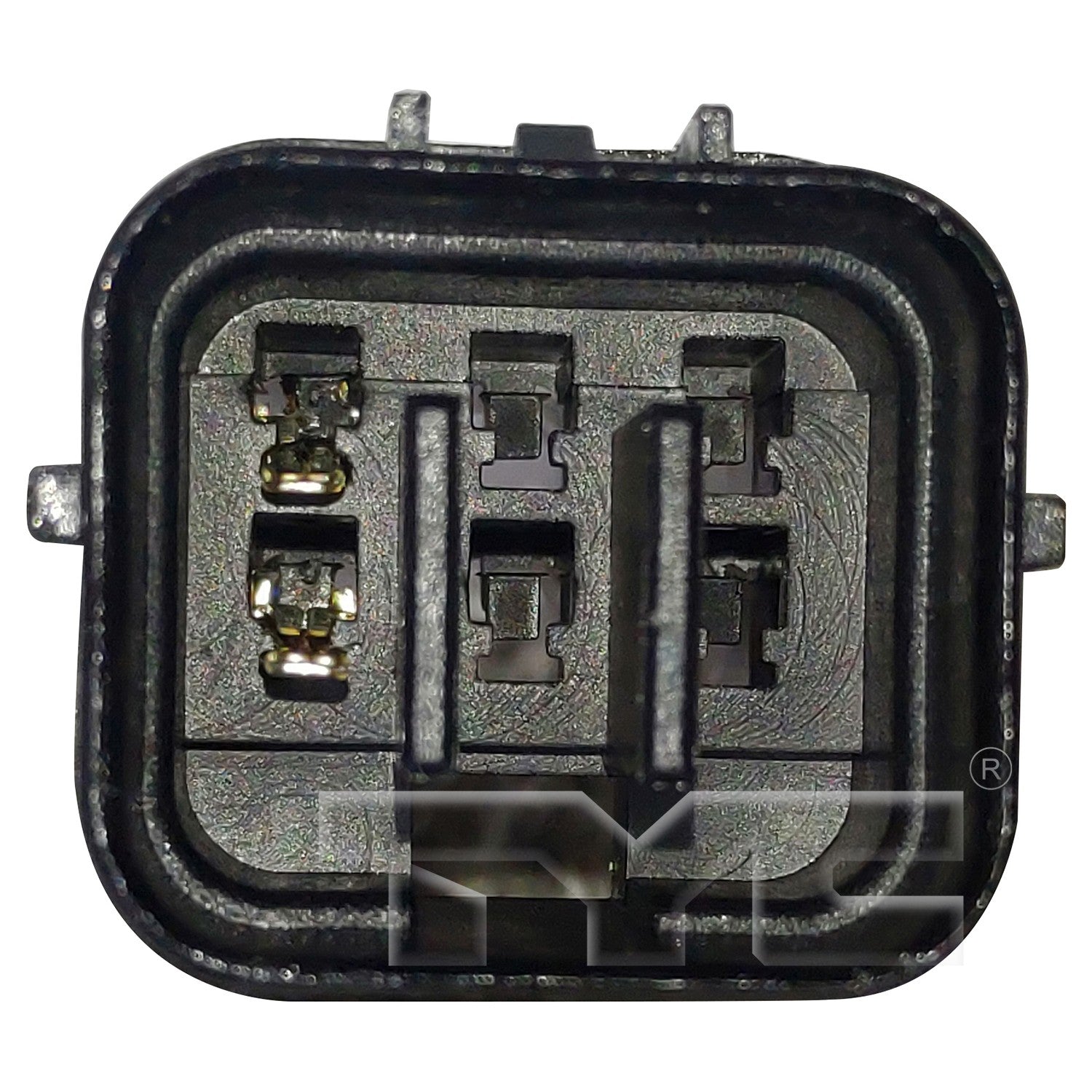TYC 660687 image 2