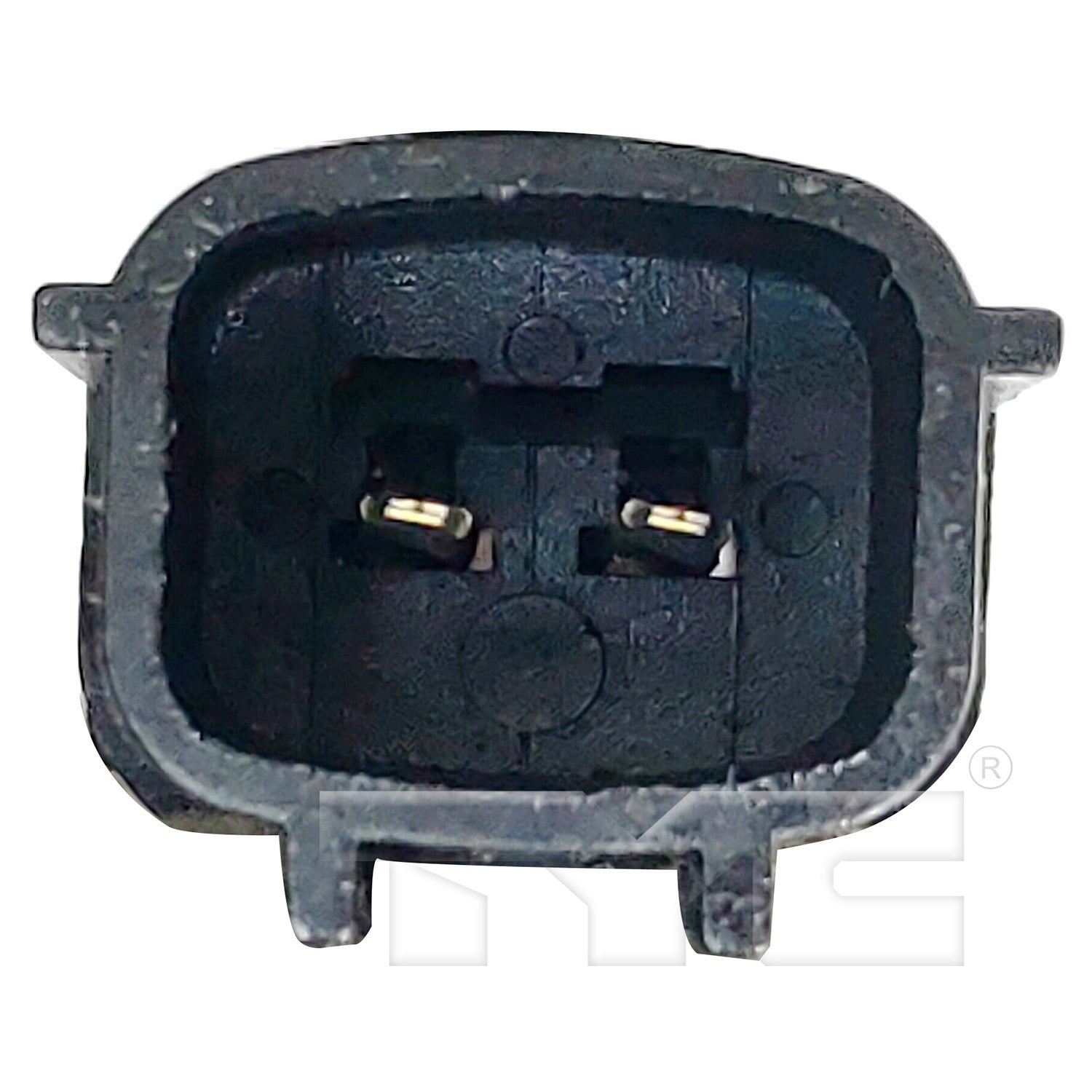 TYC 660695 image 2
