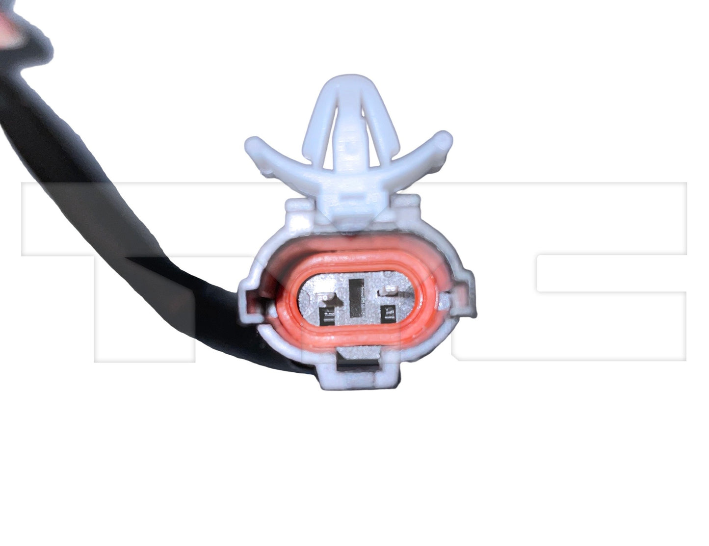 TYC 660796 image 2