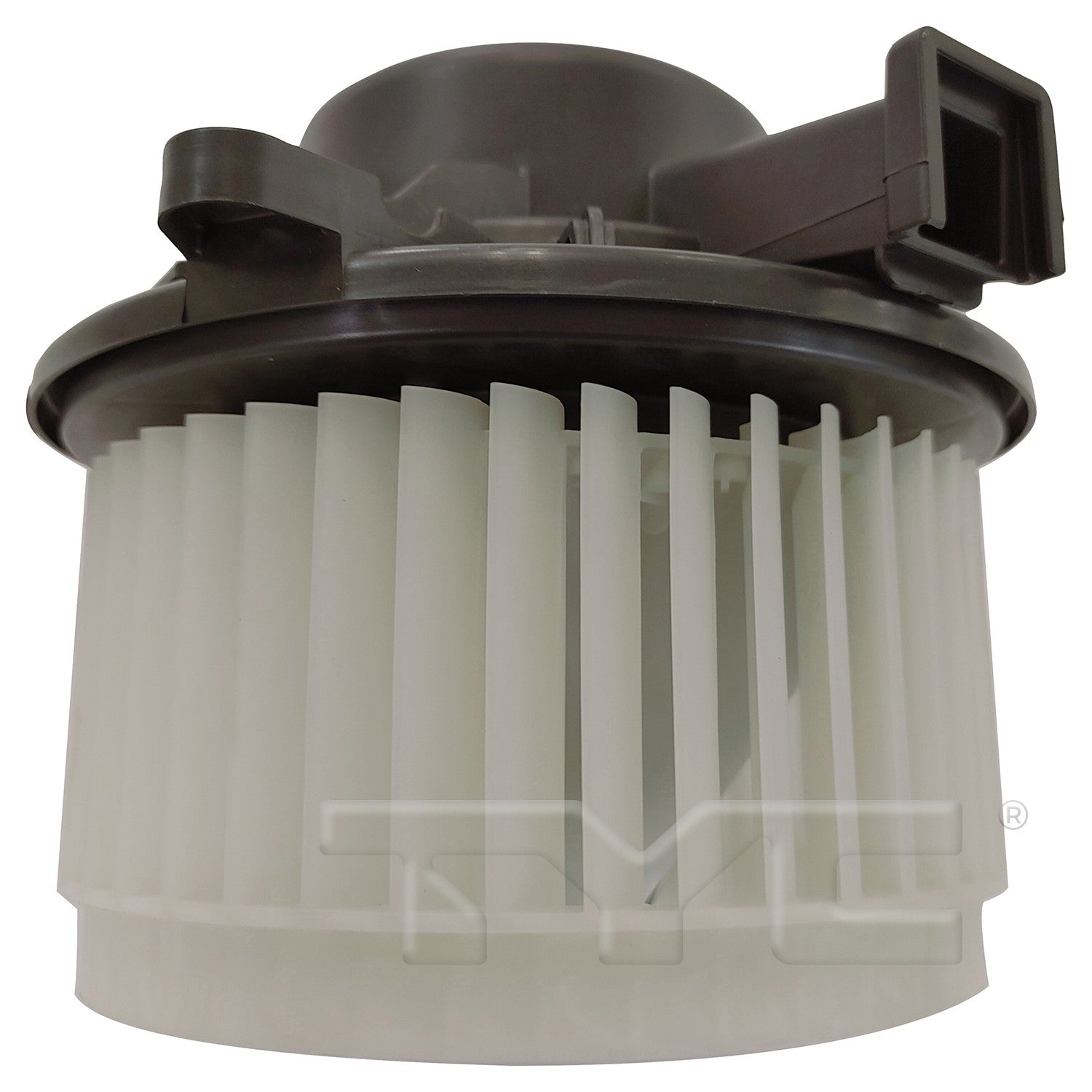 TYC 700363 image 3