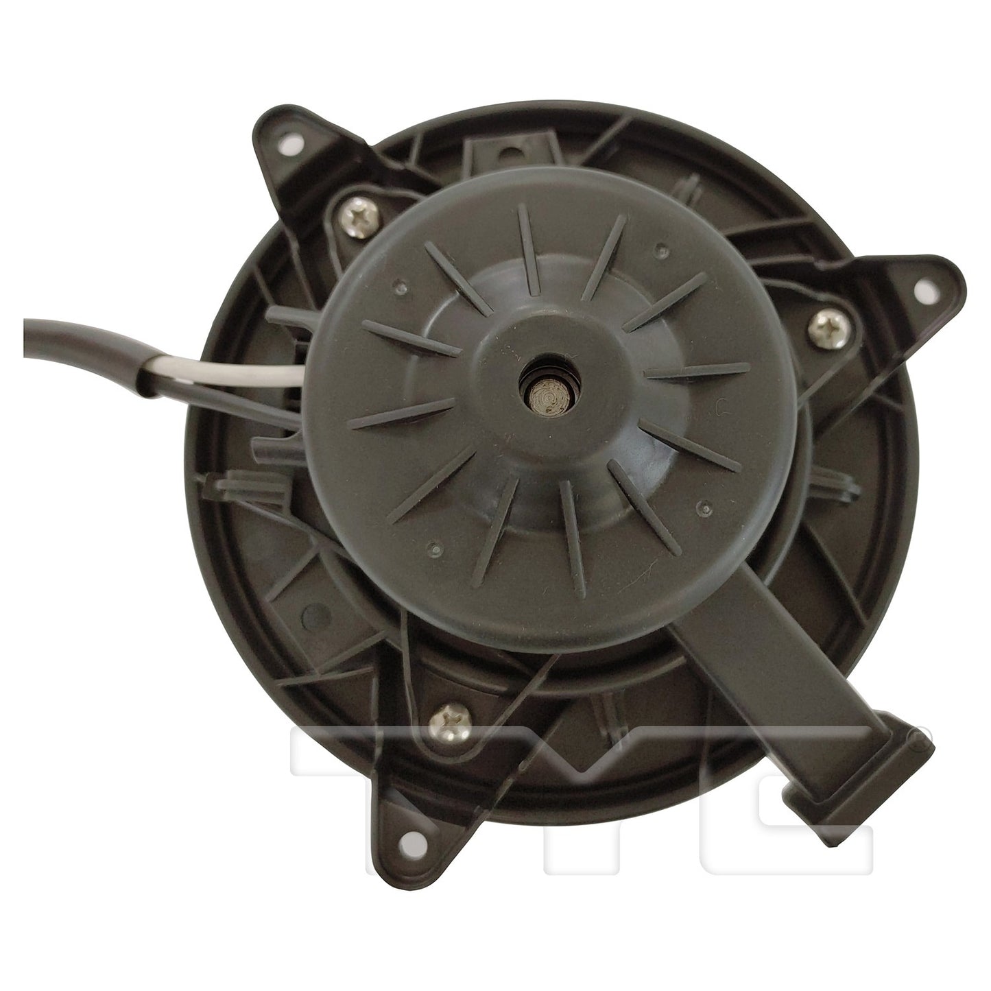TYC 700363 main image