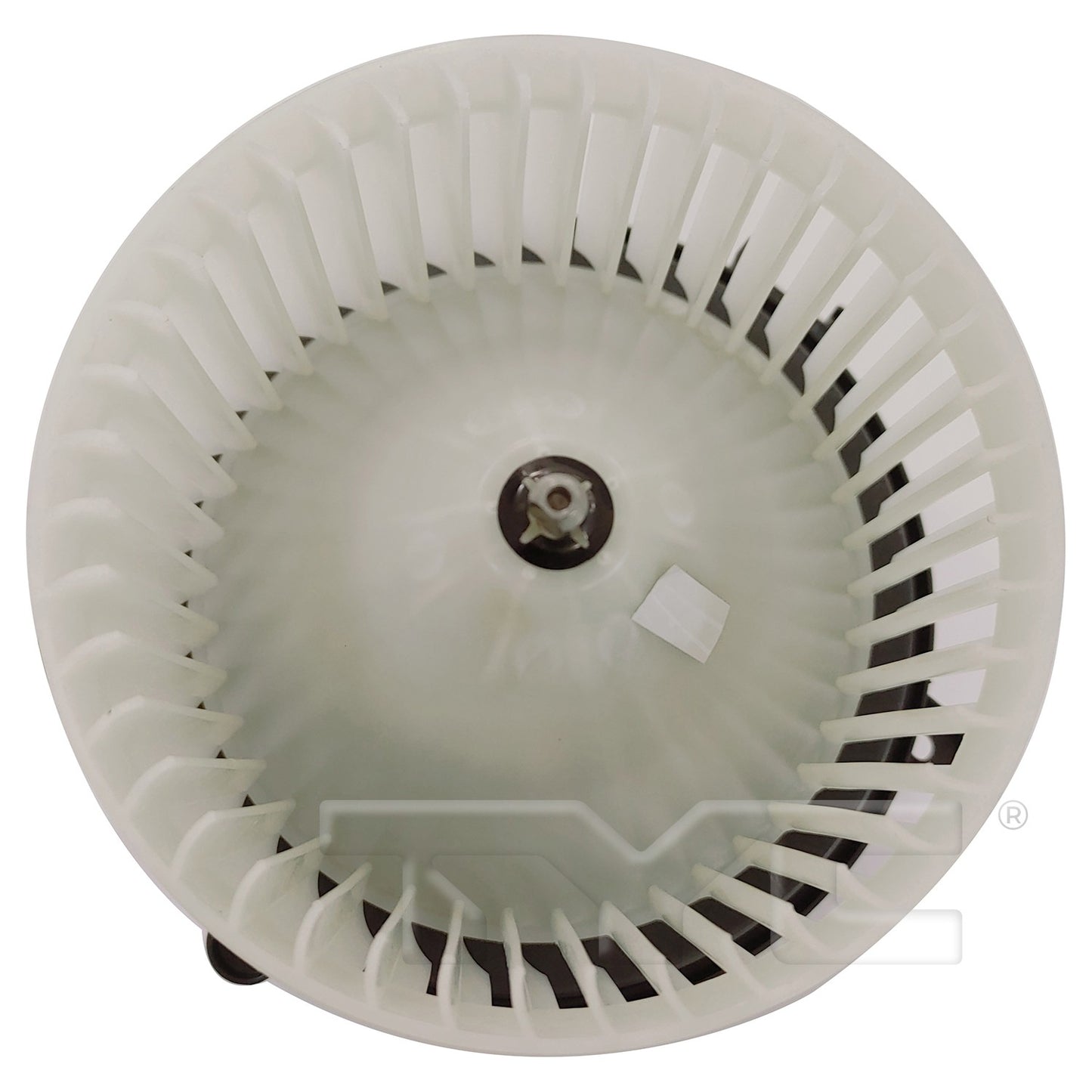 TYC 700363 image 2