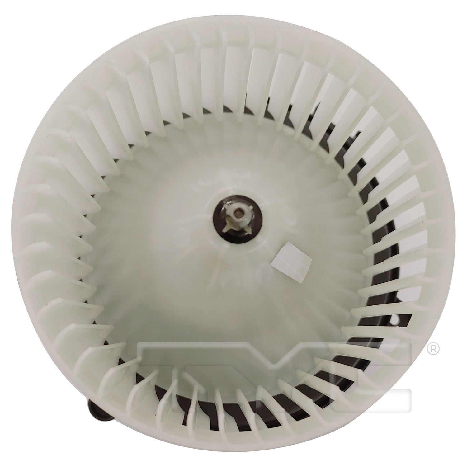 TYC 700363 image 2