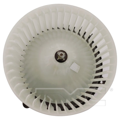 TYC 700363 image 2