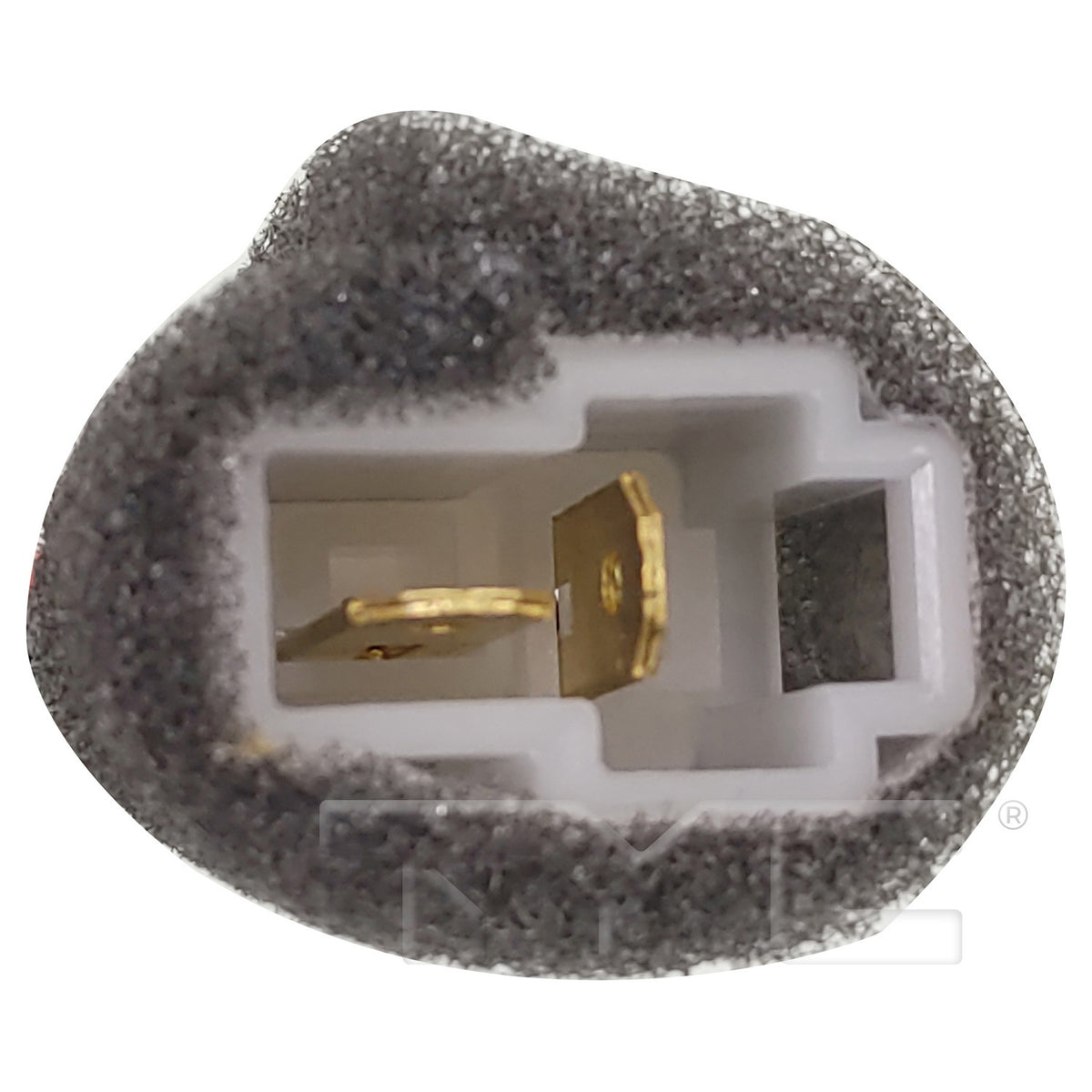 TYC 700367