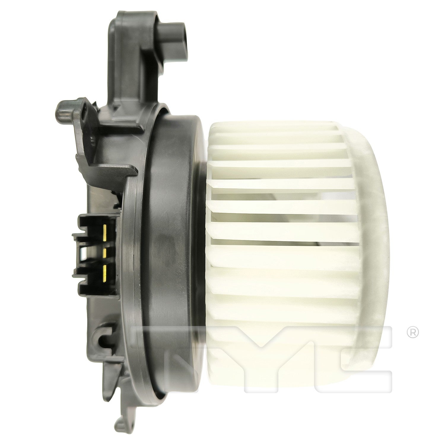 TYC 700377 image 3