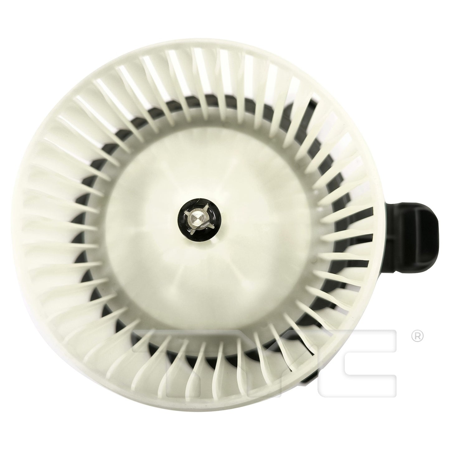 TYC 700377 main image