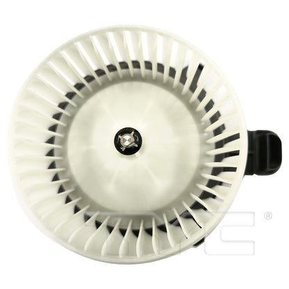 TYC 700377 main image