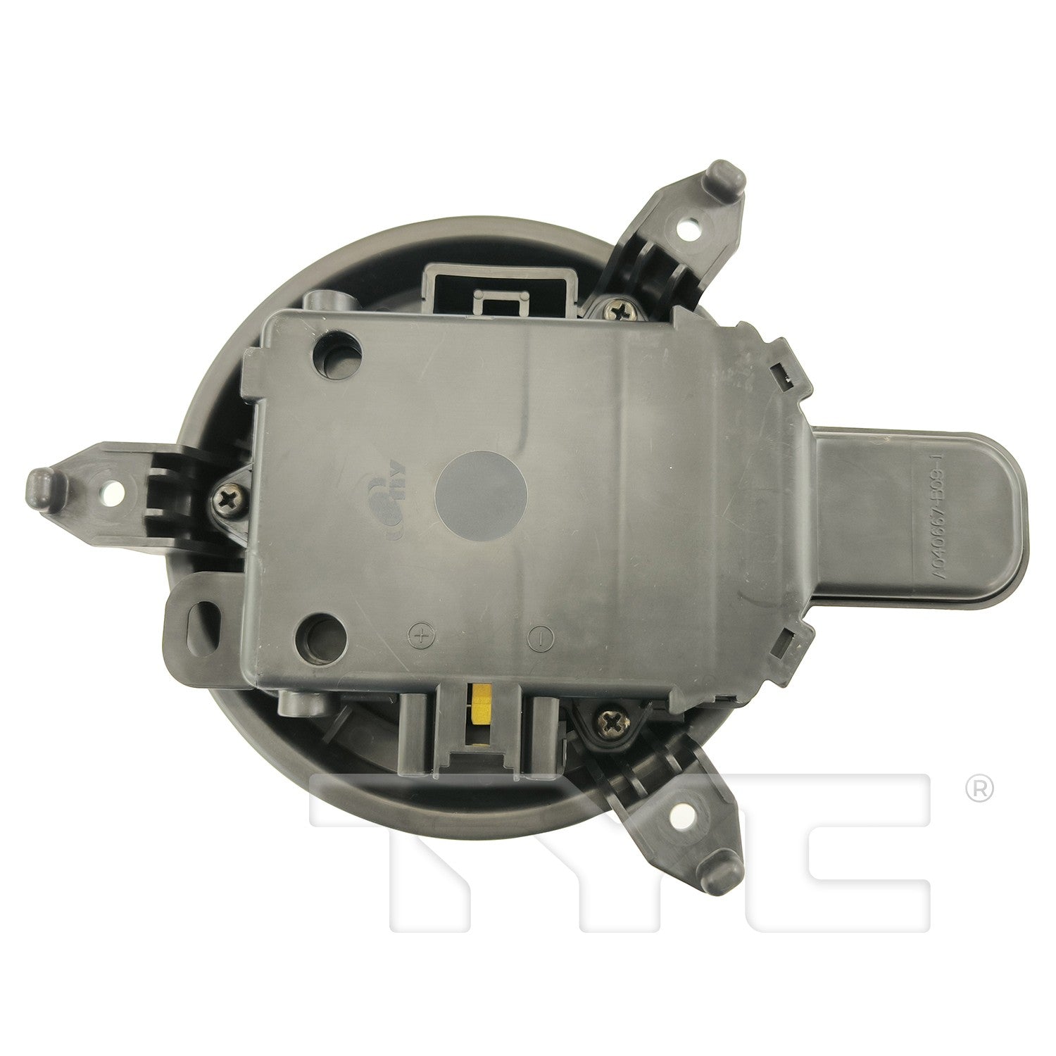 TYC 700377 image 2