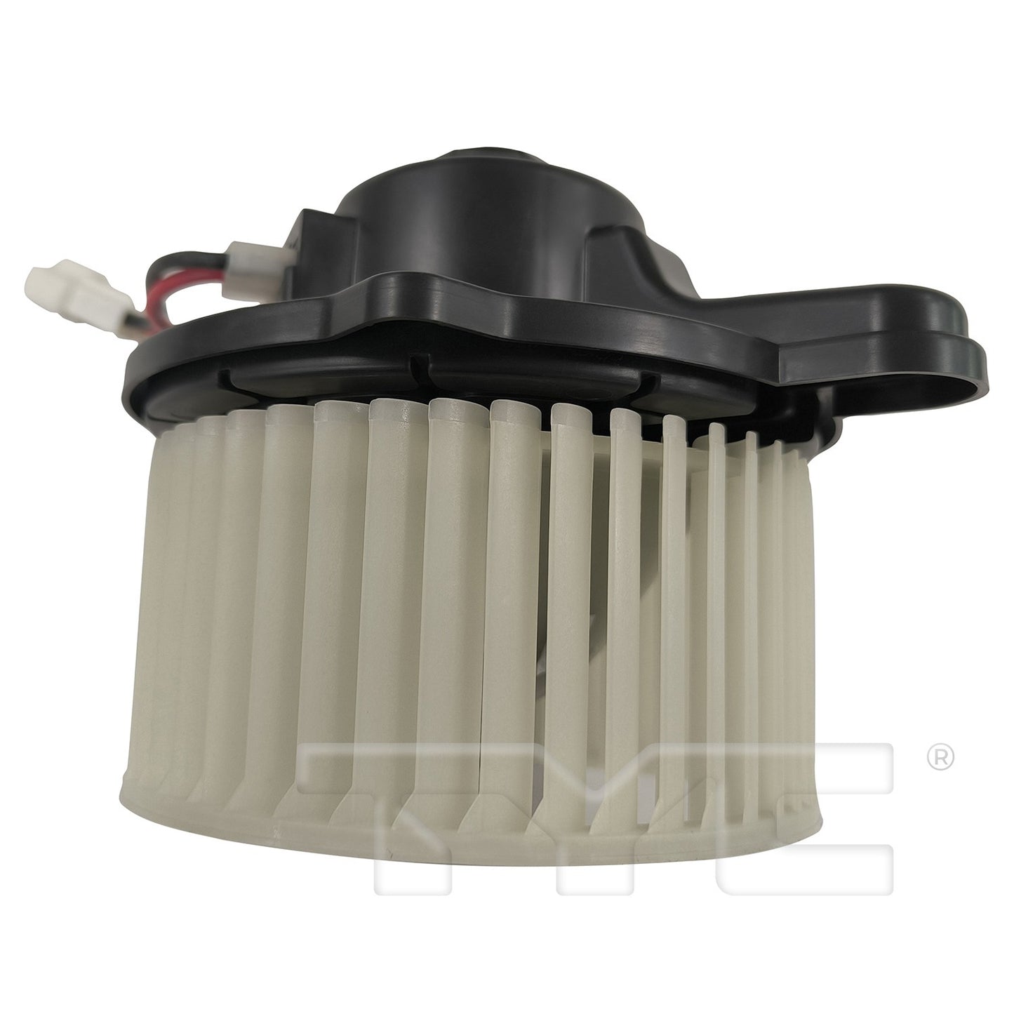 TYC 700381 image 3