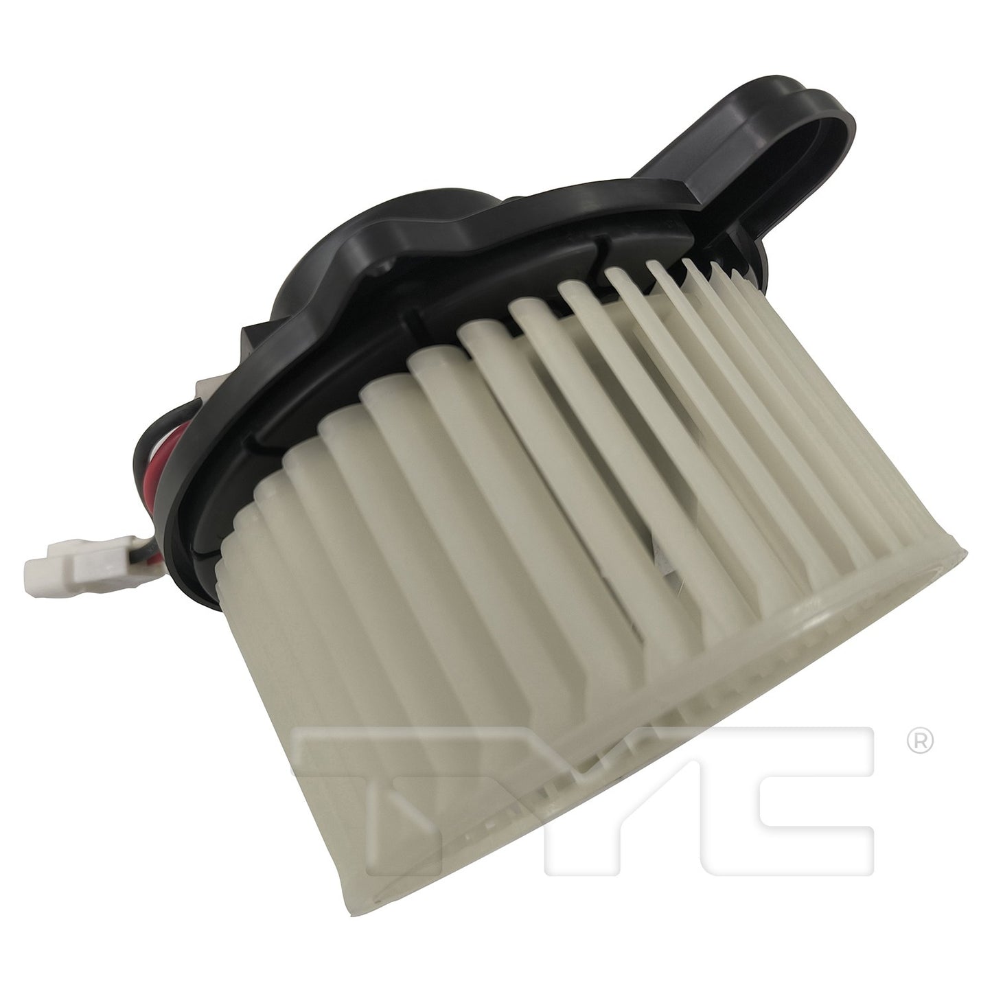 TYC 700381 image 5