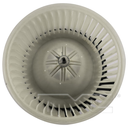 TYC 700381 main image