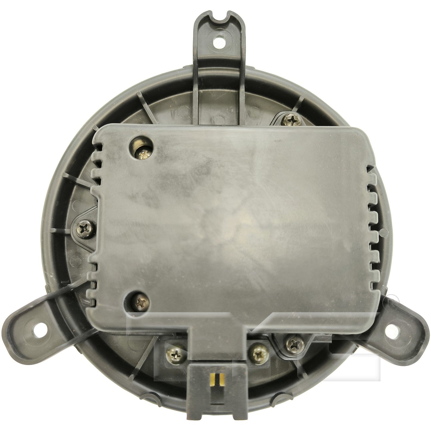 TYC 700382 image 2