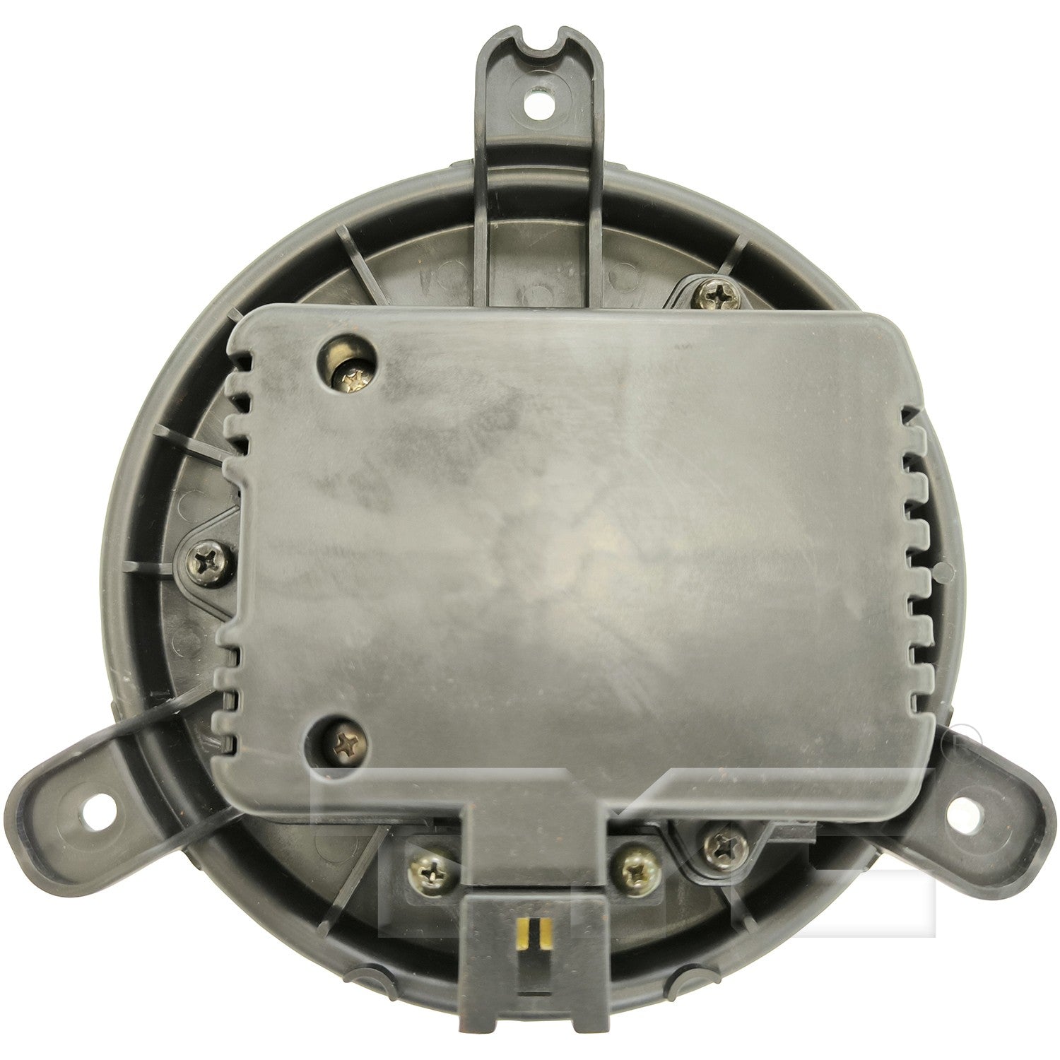 TYC 700382 image 2