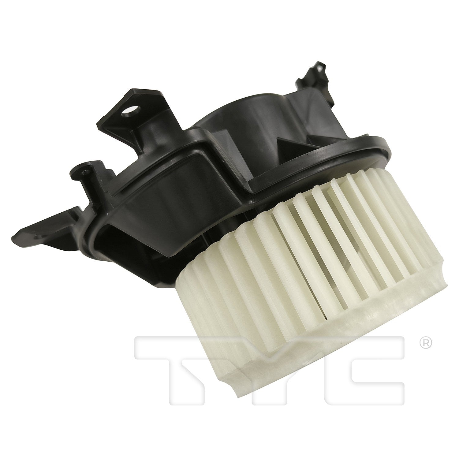 TYC 700383 image 5