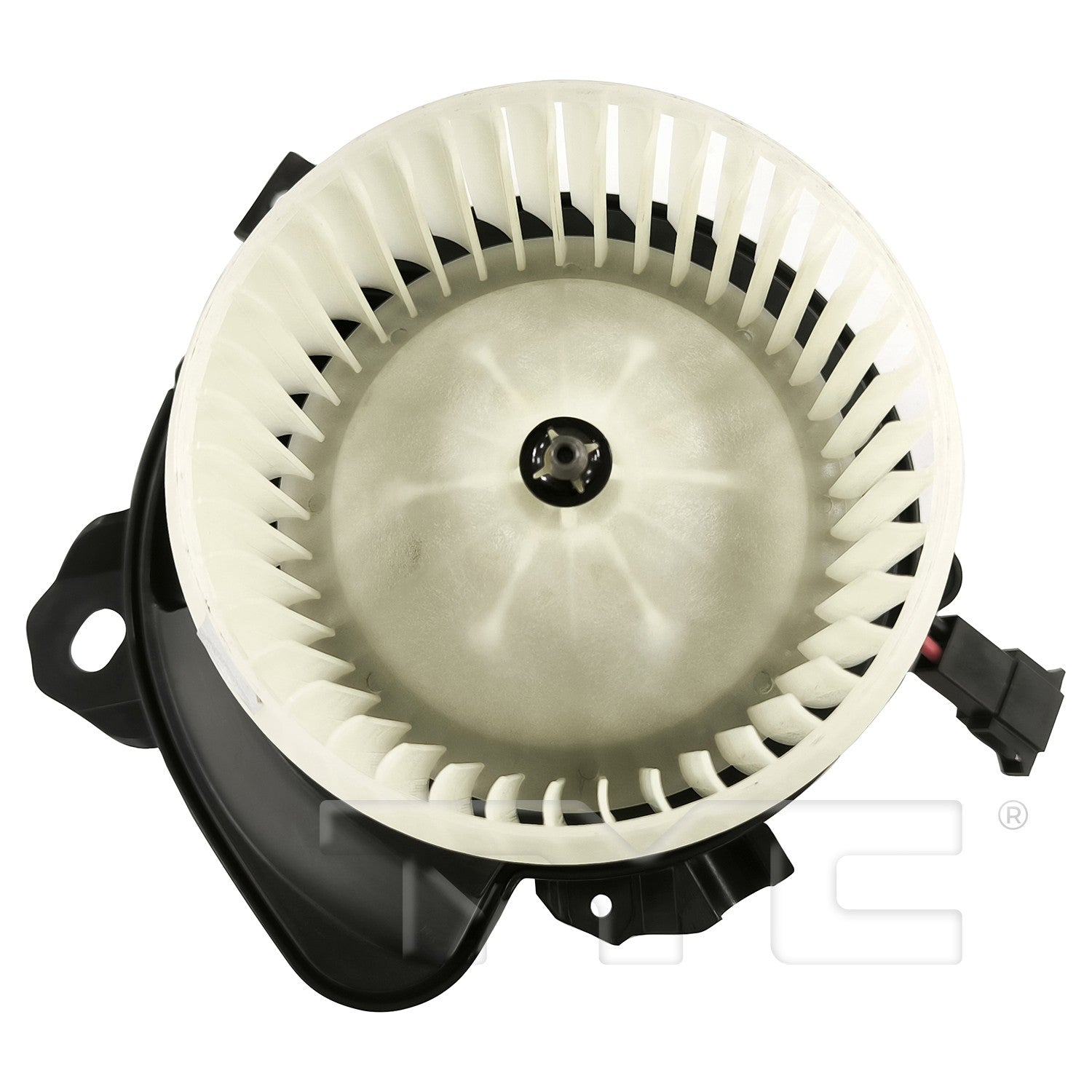 TYC 700383 main image