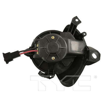 TYC 700383 image 2