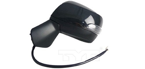 TYC Door Mirror 7440052