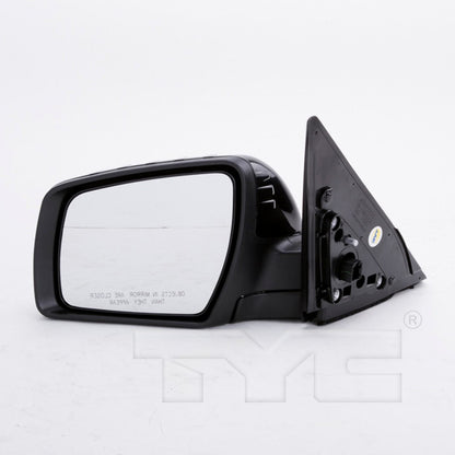 TYC Door Mirror 8160252