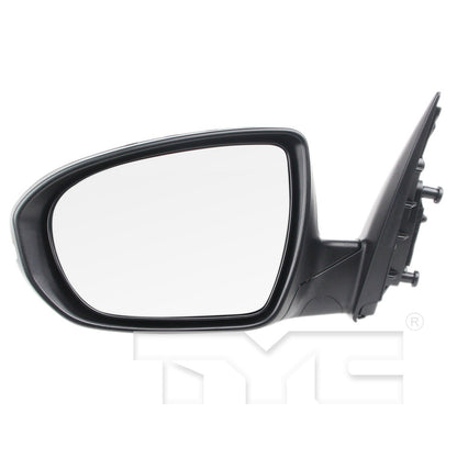 TYC Door Mirror 8170042-1