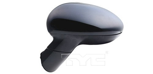TYC Door Mirror 8180142