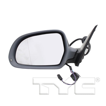 TYC Door Mirror 8320062