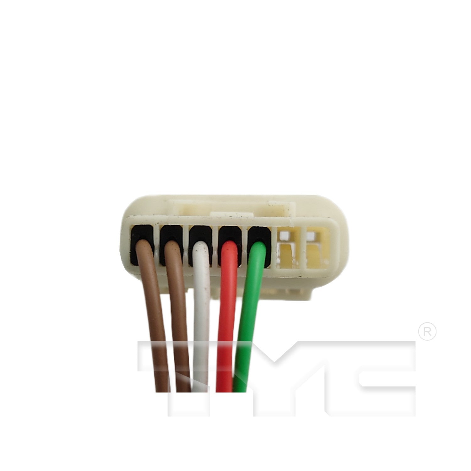 TYC 8590042 image 5