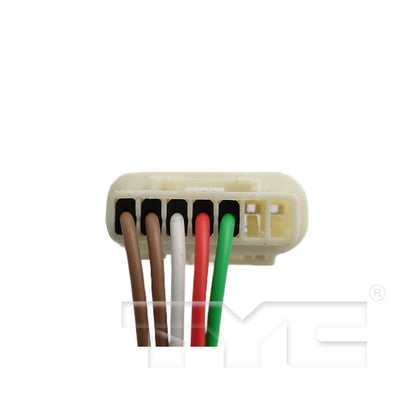TYC 8590042 image 5