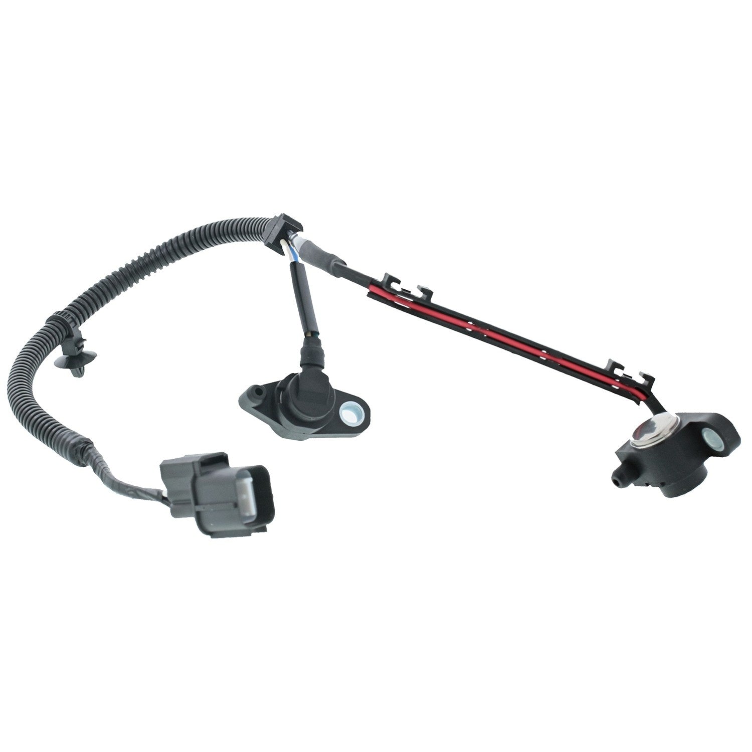 Motorad Engine Crankshaft Position Sensor 1KR137