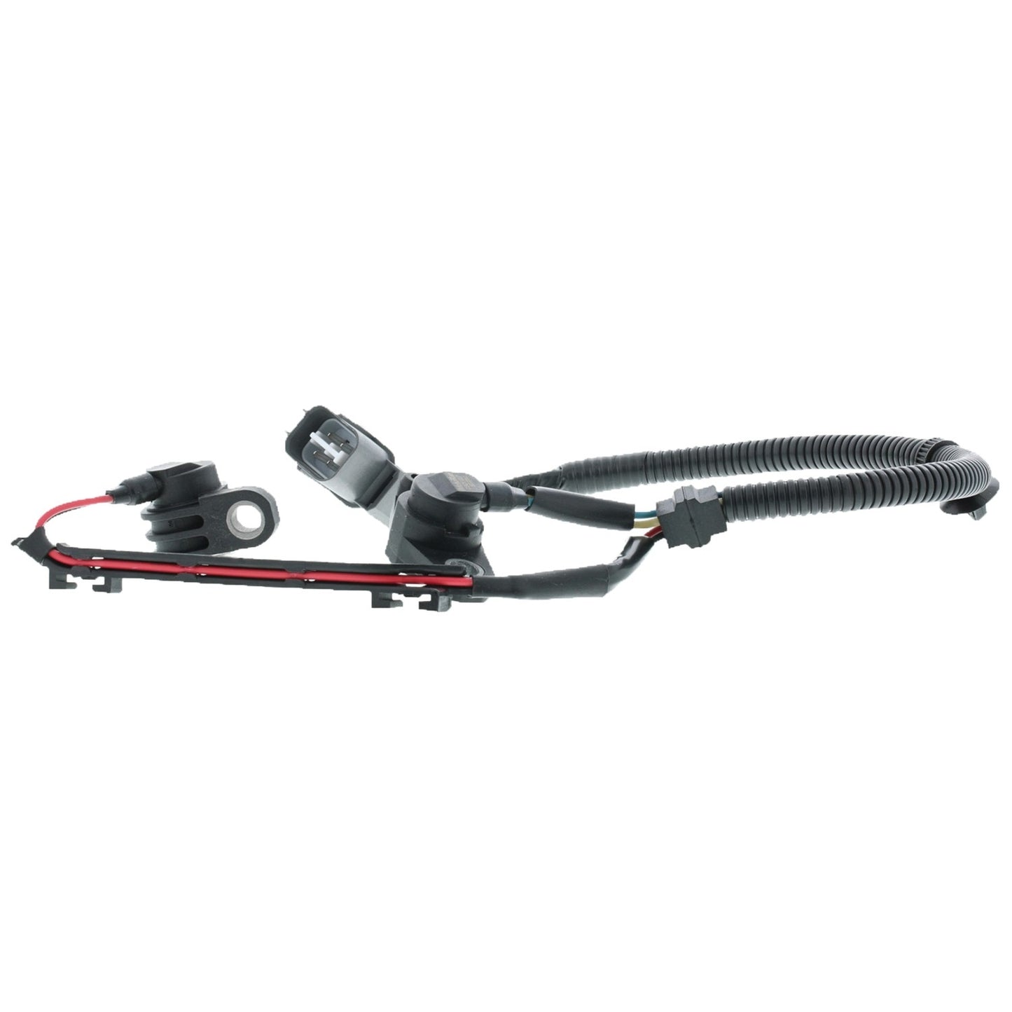 Motorad Engine Crankshaft Position Sensor 1KR137