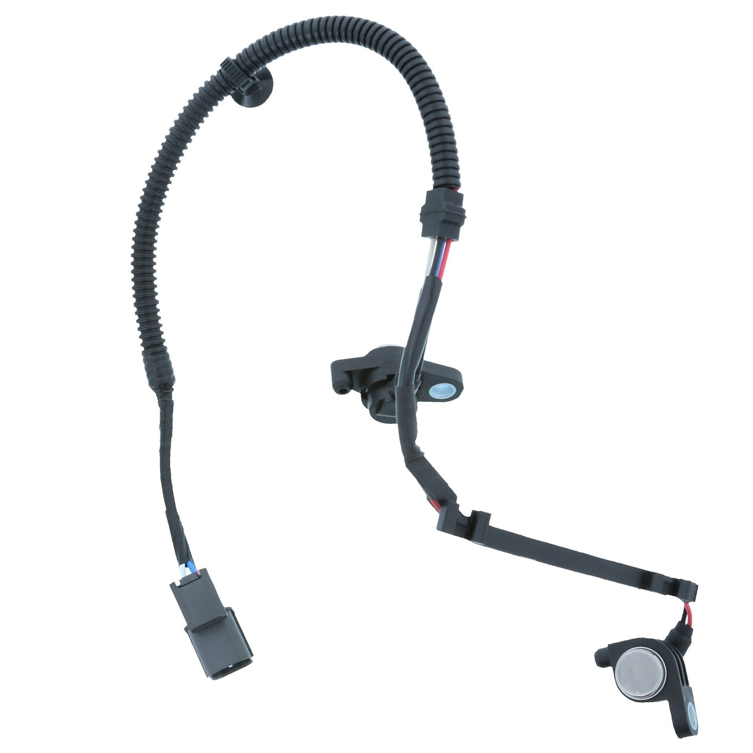 Motorad Engine Crankshaft Position Sensor 1KR137