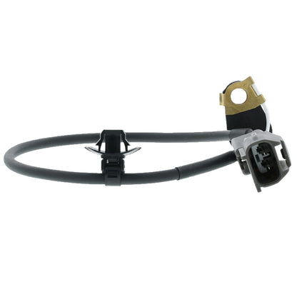 Motorad Engine Crankshaft Position Sensor 1KR164
