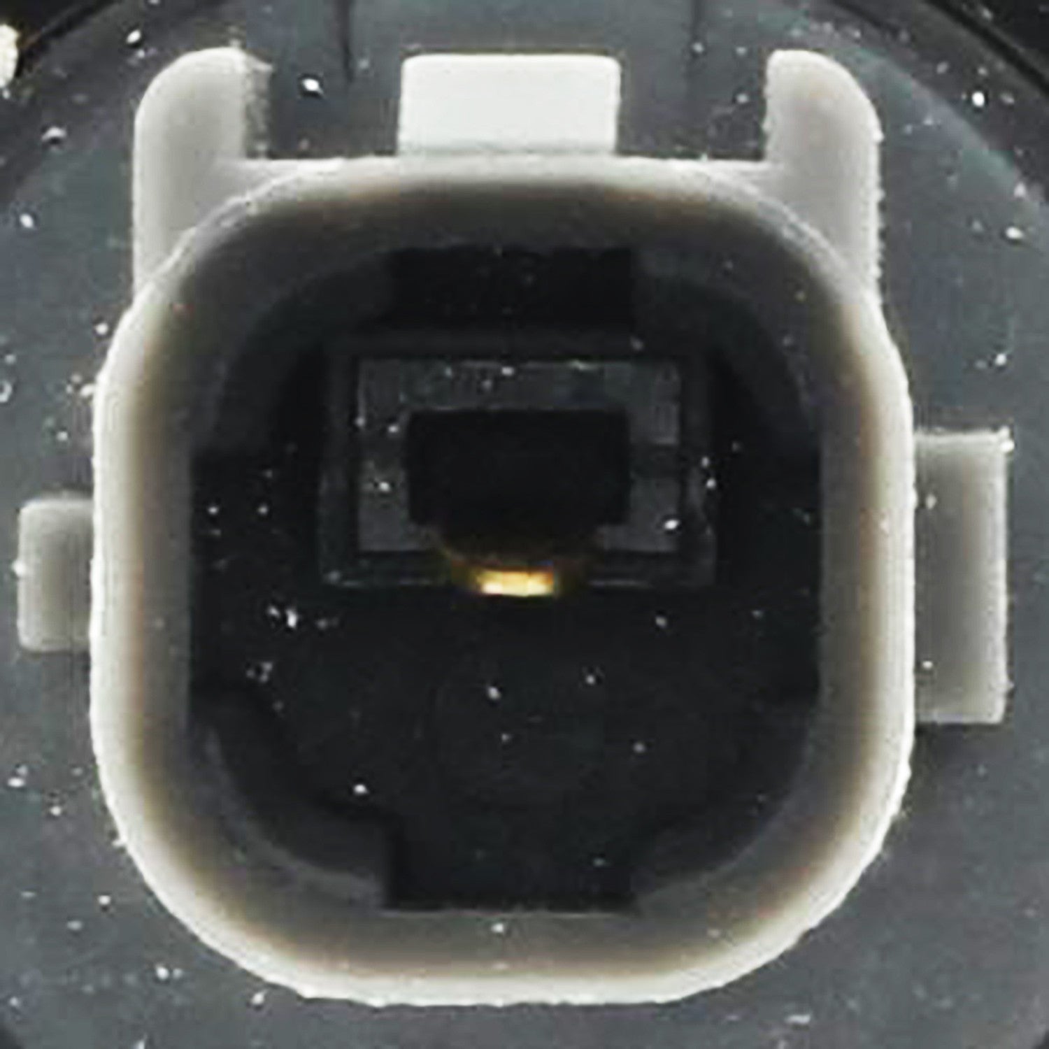 Motorad Ignition Knock (Detonation) Sensor 1KS1002 image 8