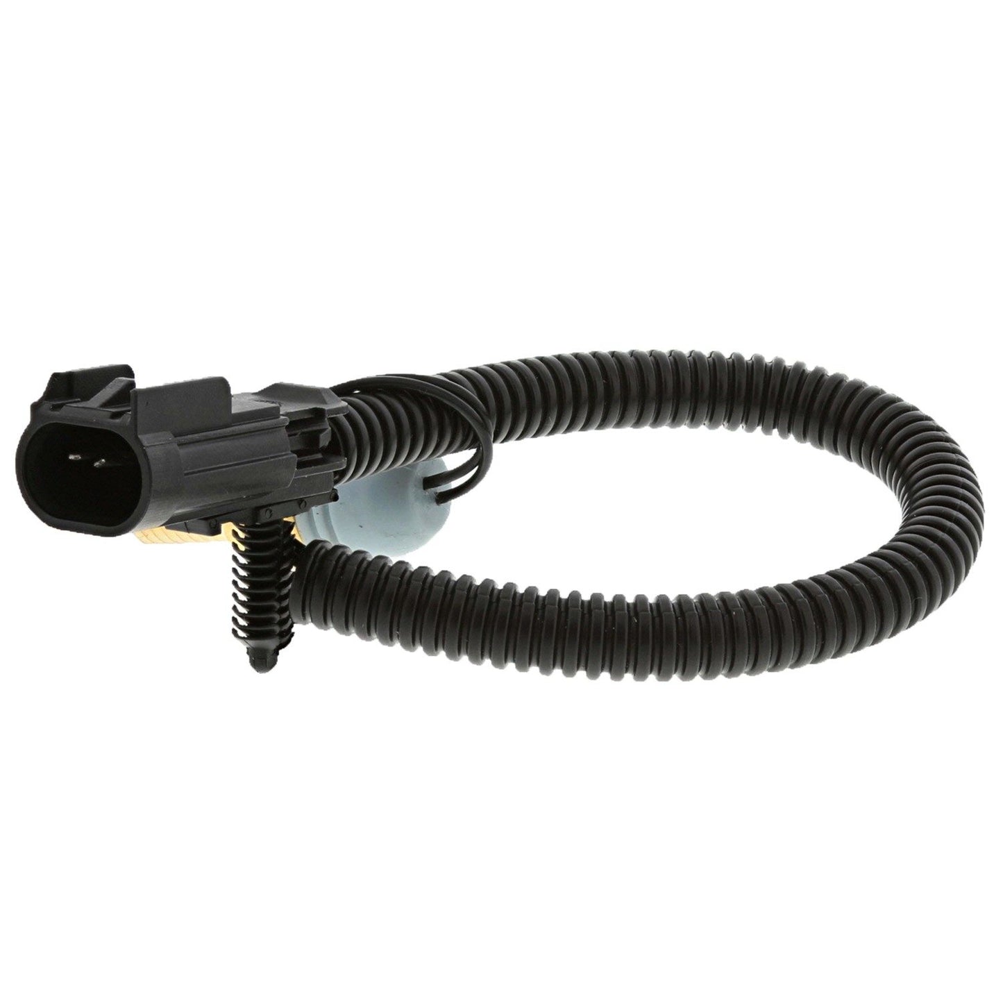 Motorad Engine Coolant Temperature Sensor 1TS1022