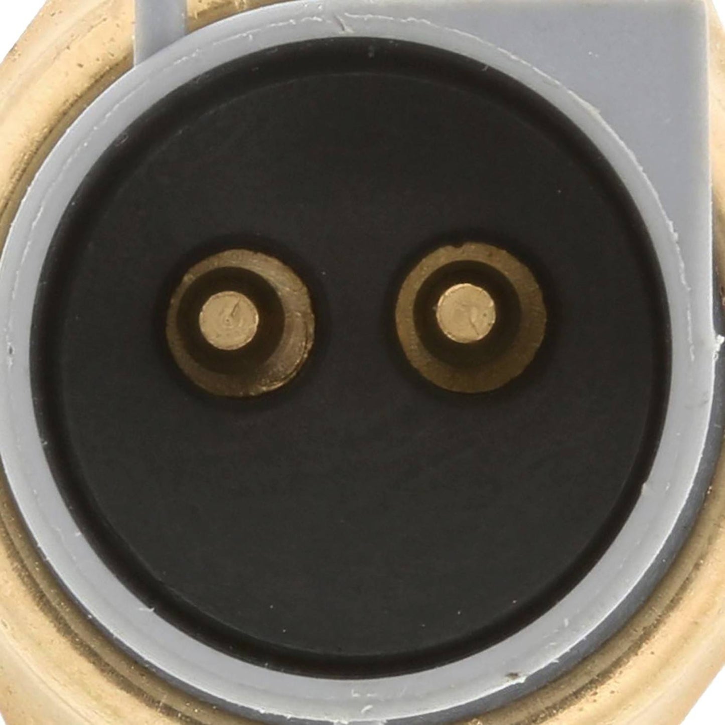 Motorad Engine Coolant Temperature Sensor 1TS1211