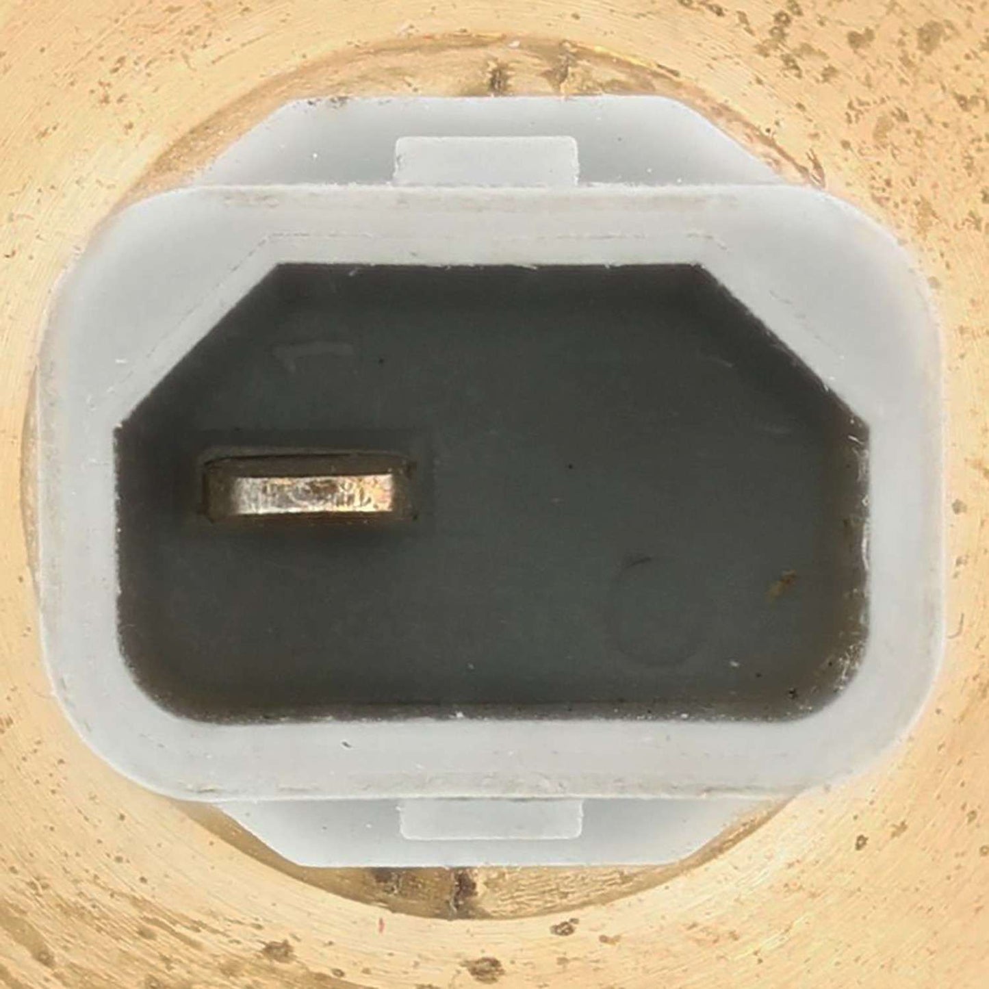 Motorad Engine Coolant Temperature Switch 1TS1251