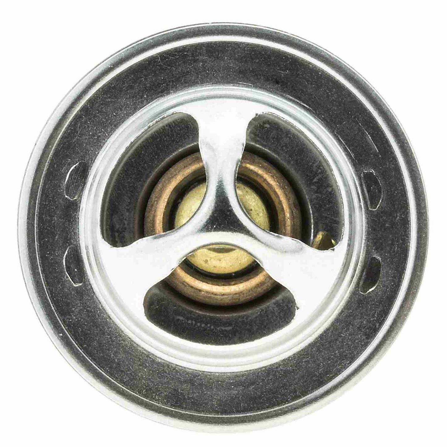 Motorad Engine Coolant Thermostat 2034-160