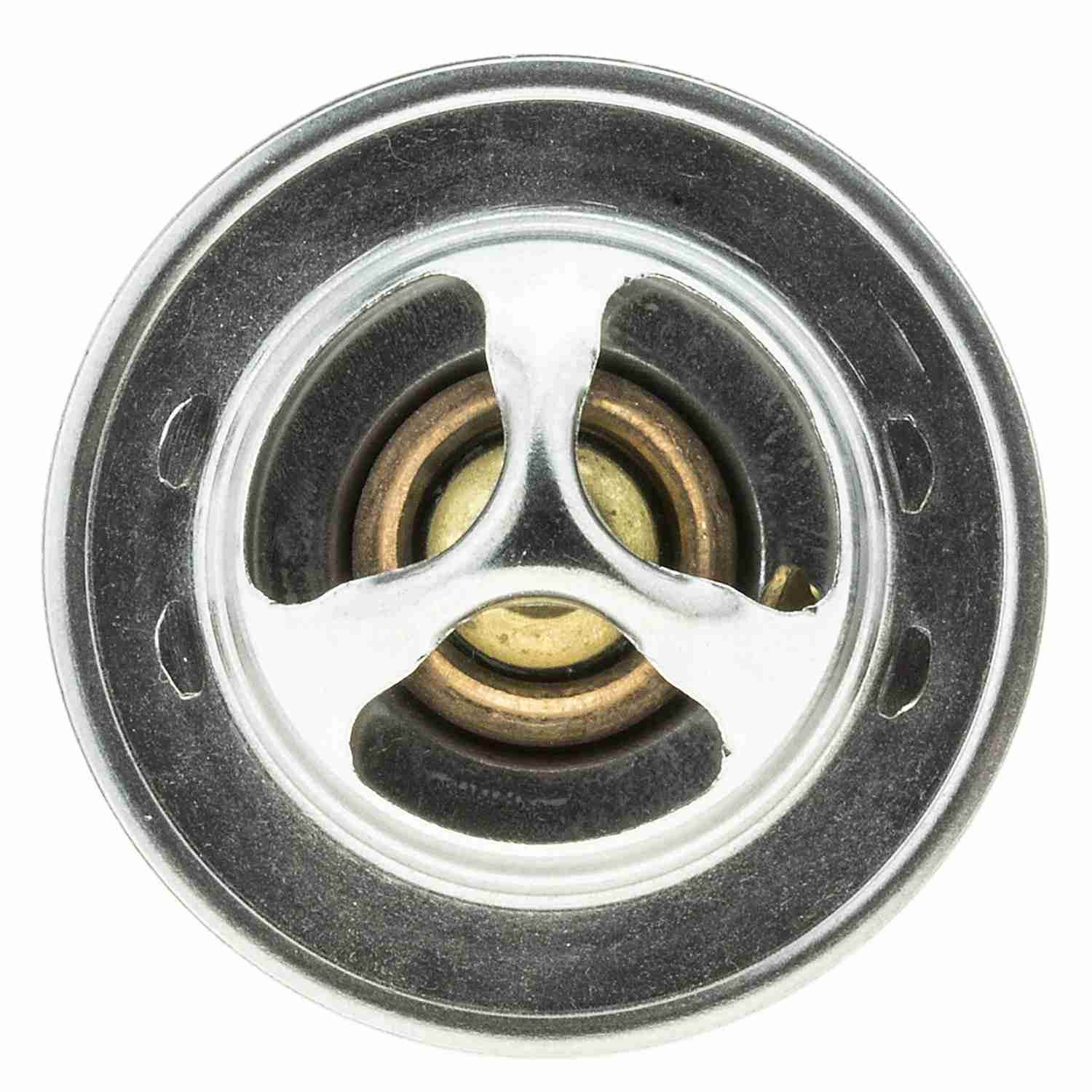 Motorad Engine Coolant Thermostat 2034-160