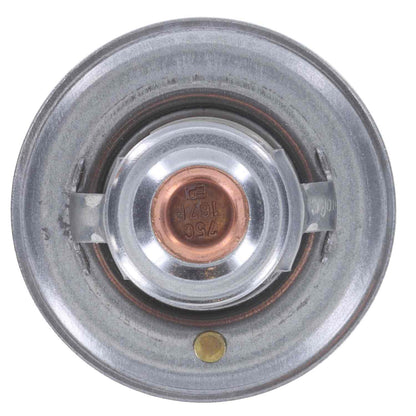 Motorad Engine Coolant Thermostat 230-167JV