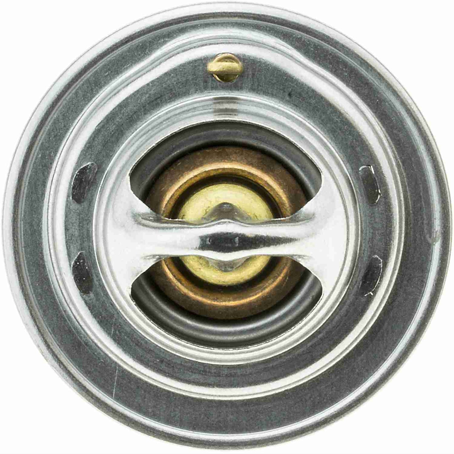 Motorad Engine Coolant Thermostat 244-160