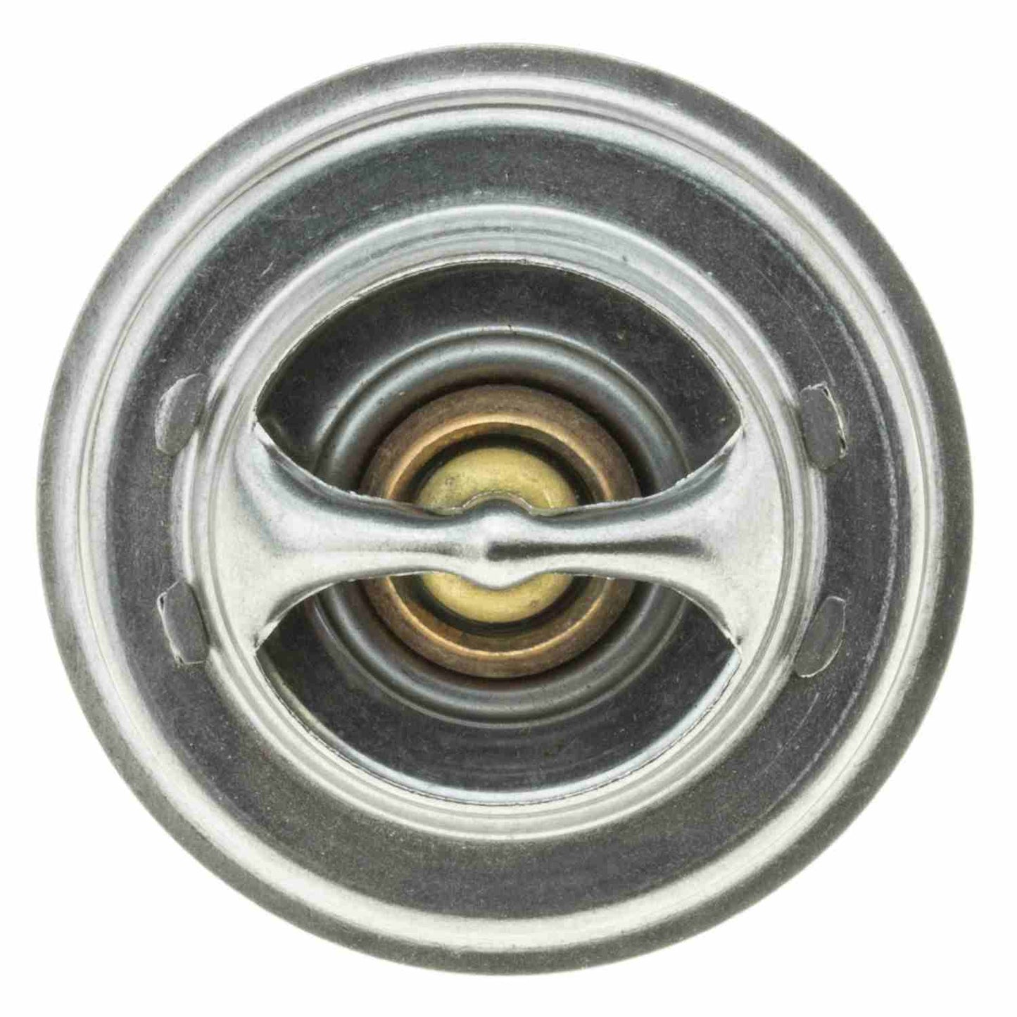 Motorad 247-185