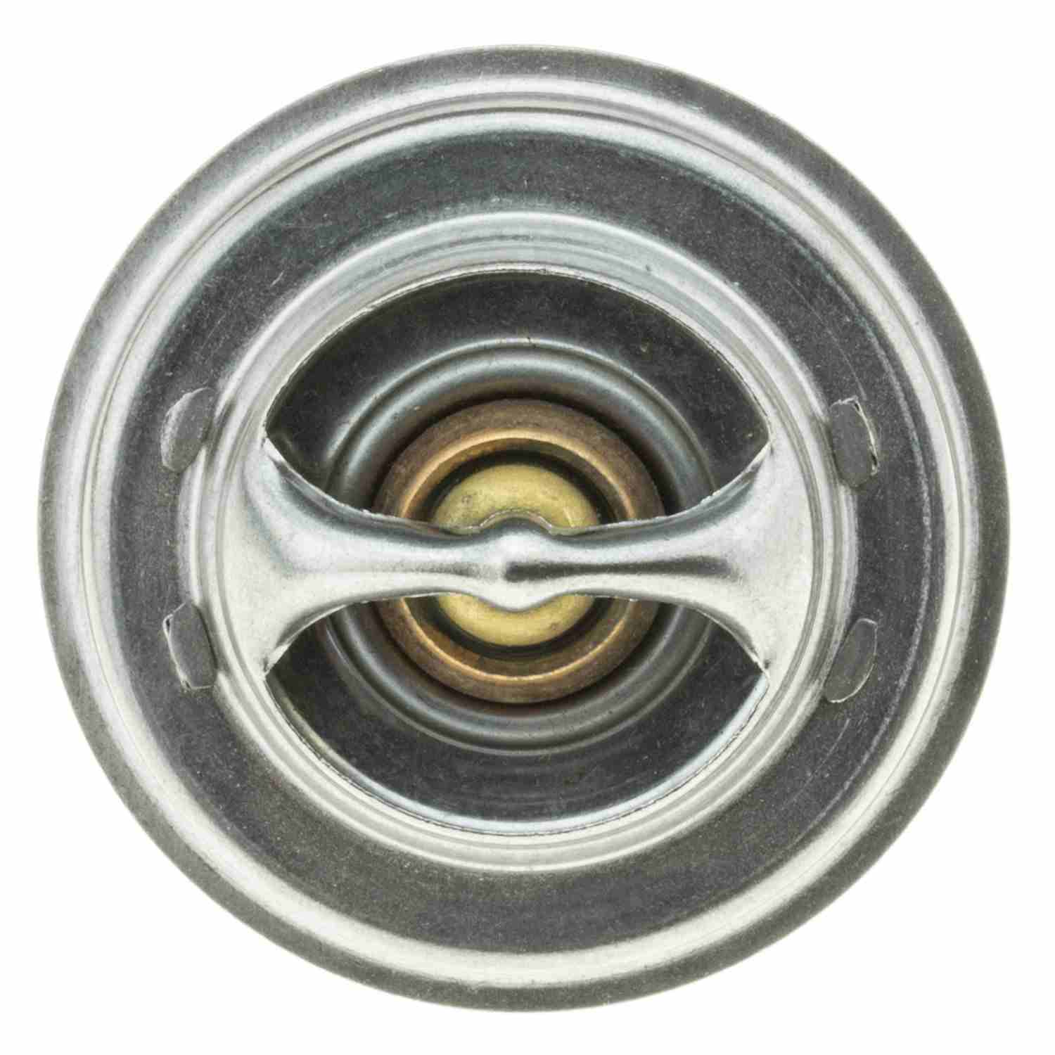 Motorad 247-185