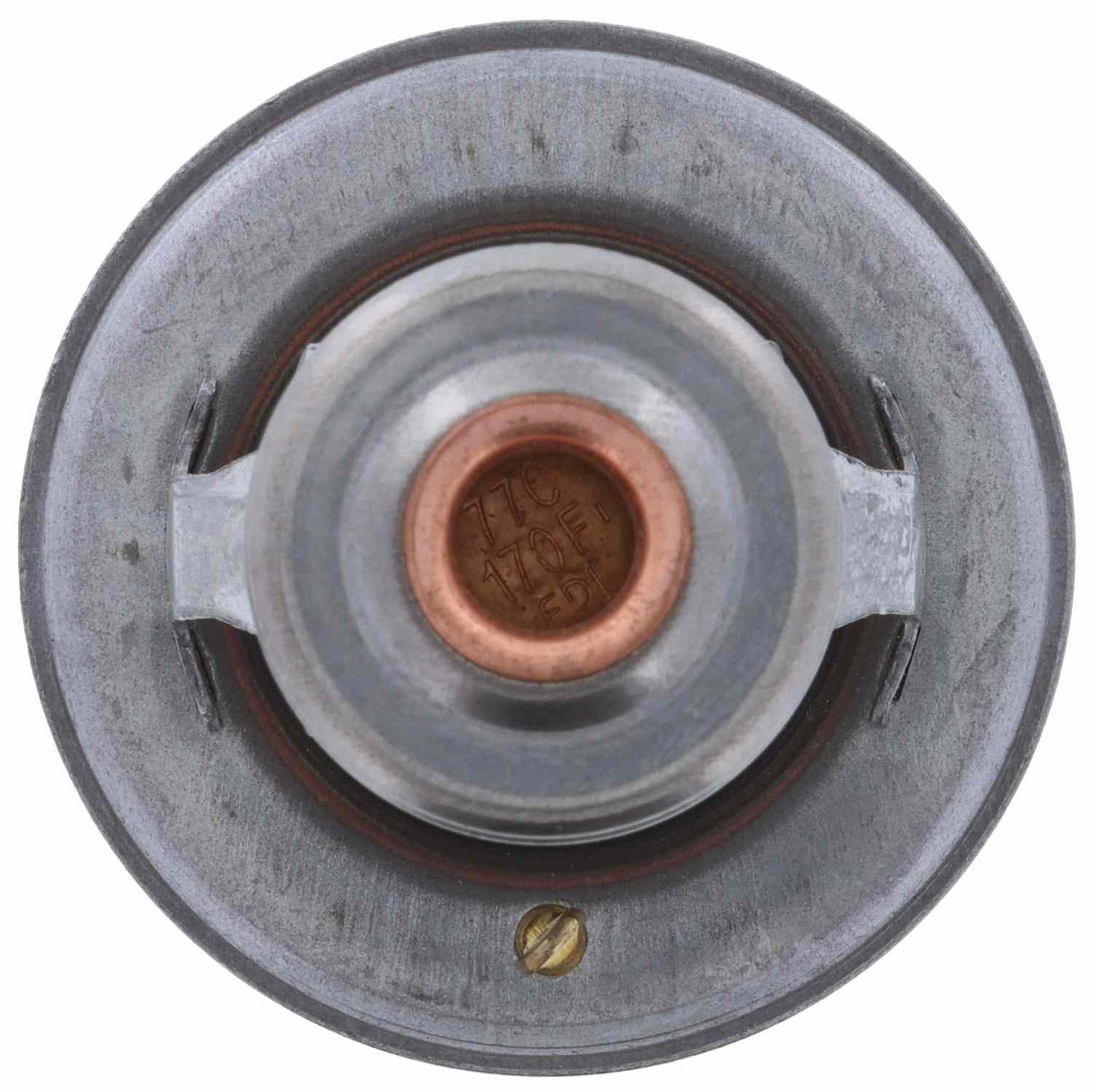 Motorad Engine Coolant Thermostat