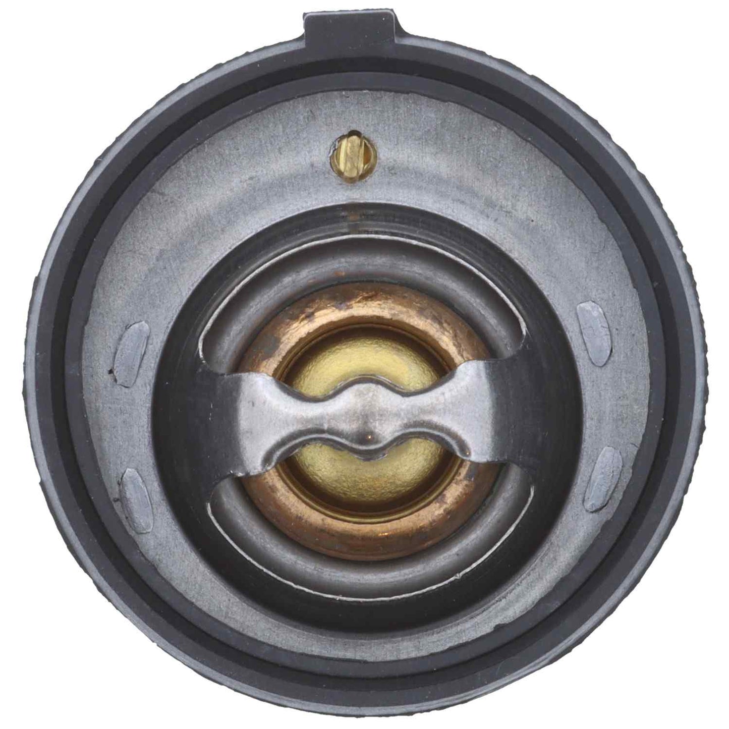 Motorad Engine Coolant Thermostat