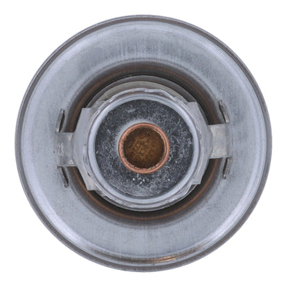 Motorad Engine Coolant Thermostat 4009-95