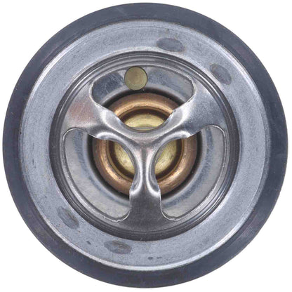 Motorad Engine Coolant Thermostat